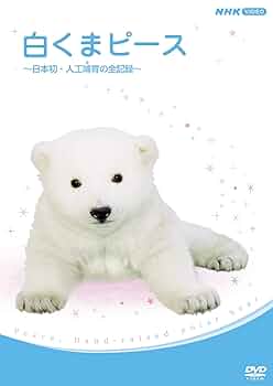 (゜∀゜初夏大セール☆最安値超美品☆超希少☆白くまハットブラック☆(゜∀゜ 単品販売)ShinWoo 暖かい熊ハグシリーズ ぬいくるみブラインド